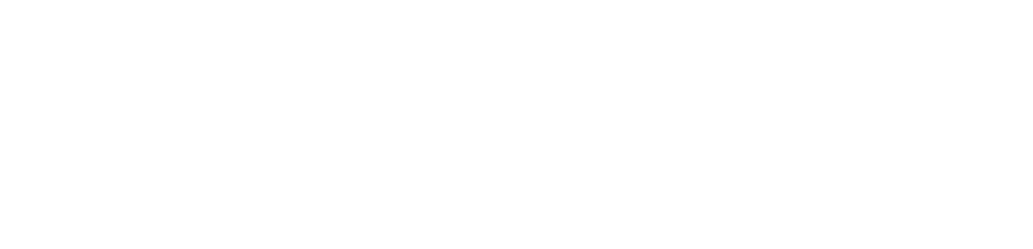 Flawed Culture